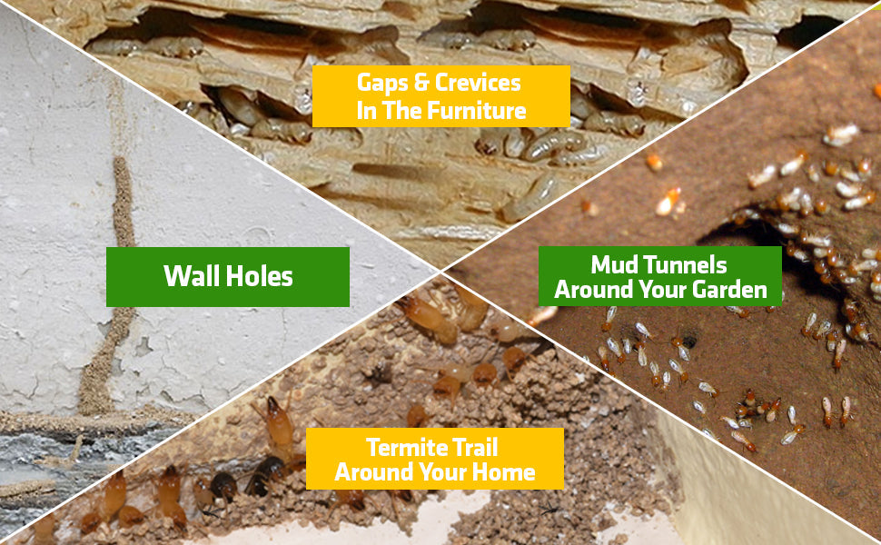 Termite Killer Spray - Effective Pest solution for your home
